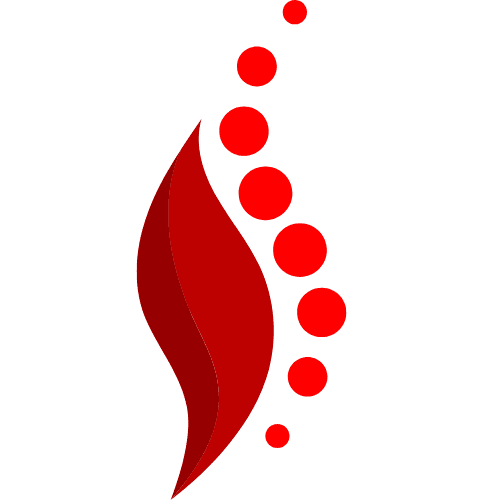 Chiropractic Healthcare Clinic Logo (1)