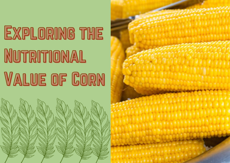 Exploring the nutritional value of corn